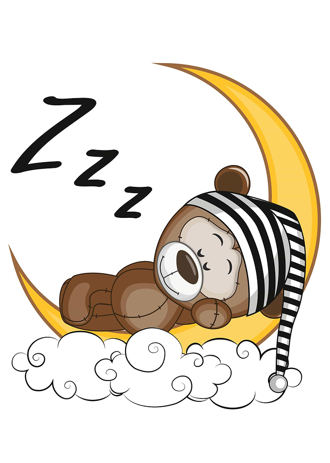 Sleeping Teddy Bear
