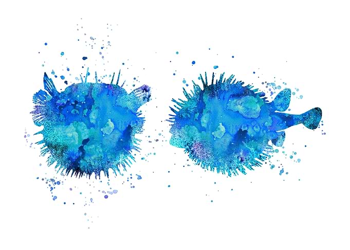 Blowfish