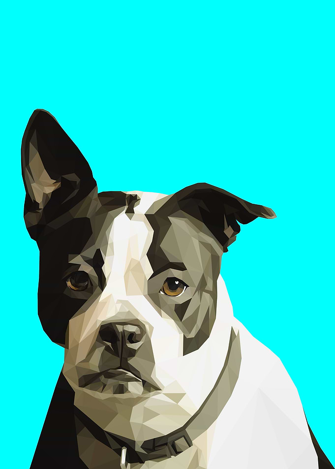 Black White Dog Lowpoly