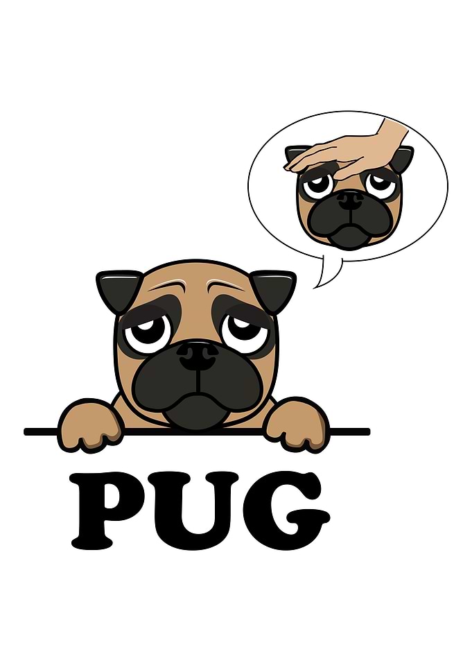 Pug Cute Puppy Pug Breed