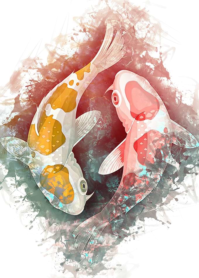abstract koi fish