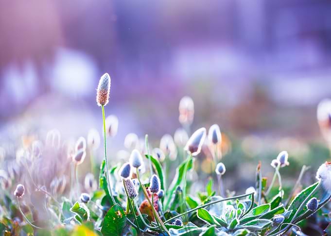 Spring Outdoor Sunlight