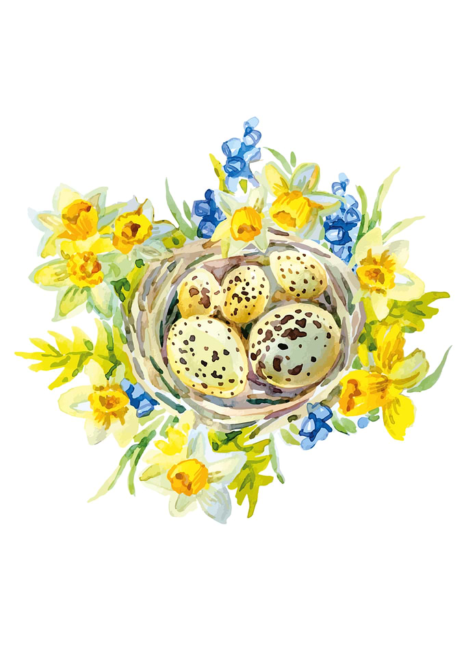 Nest Egg