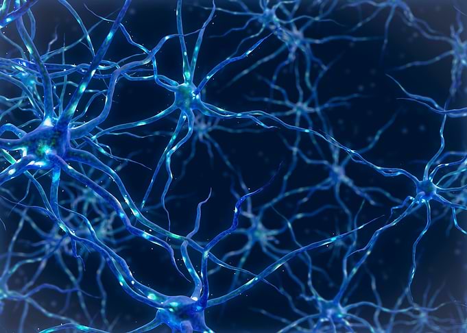 Neural Network