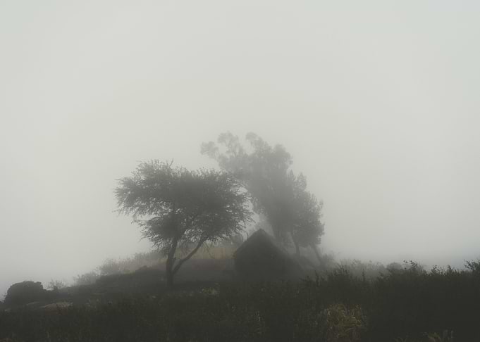 Silhoutte Of Trees And An