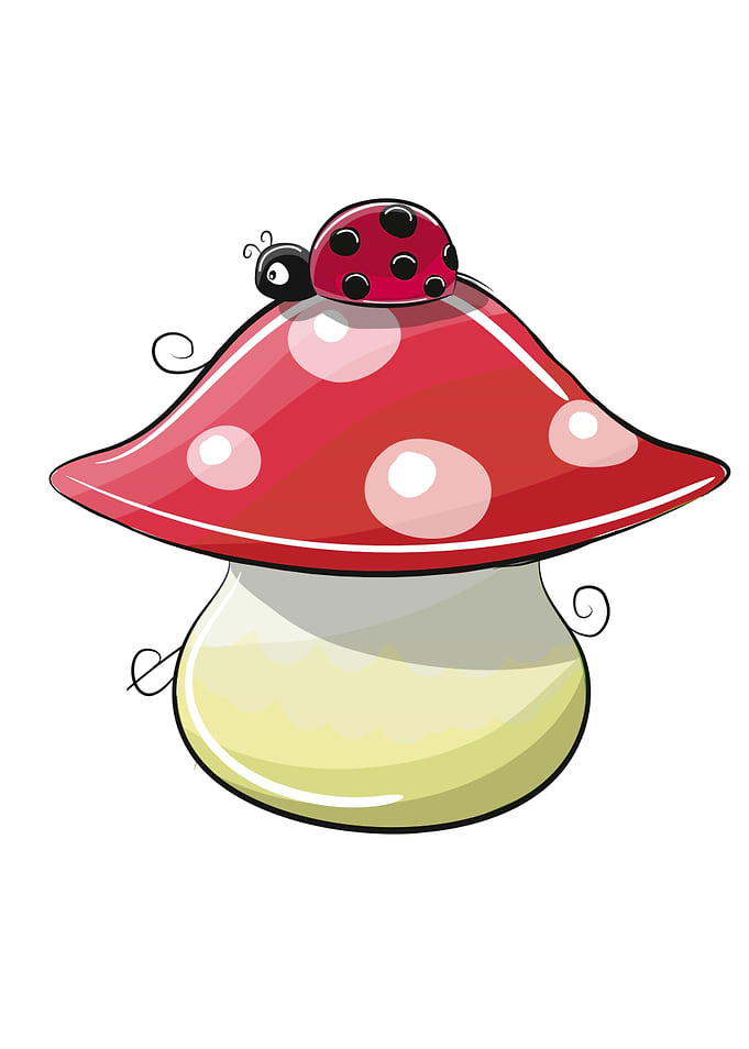 Ladybug on a Mushroom