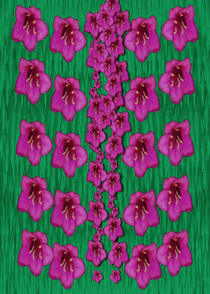 Sakura Forest