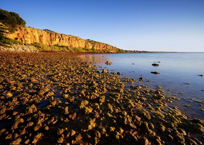 Australia Beach Beauty Cal