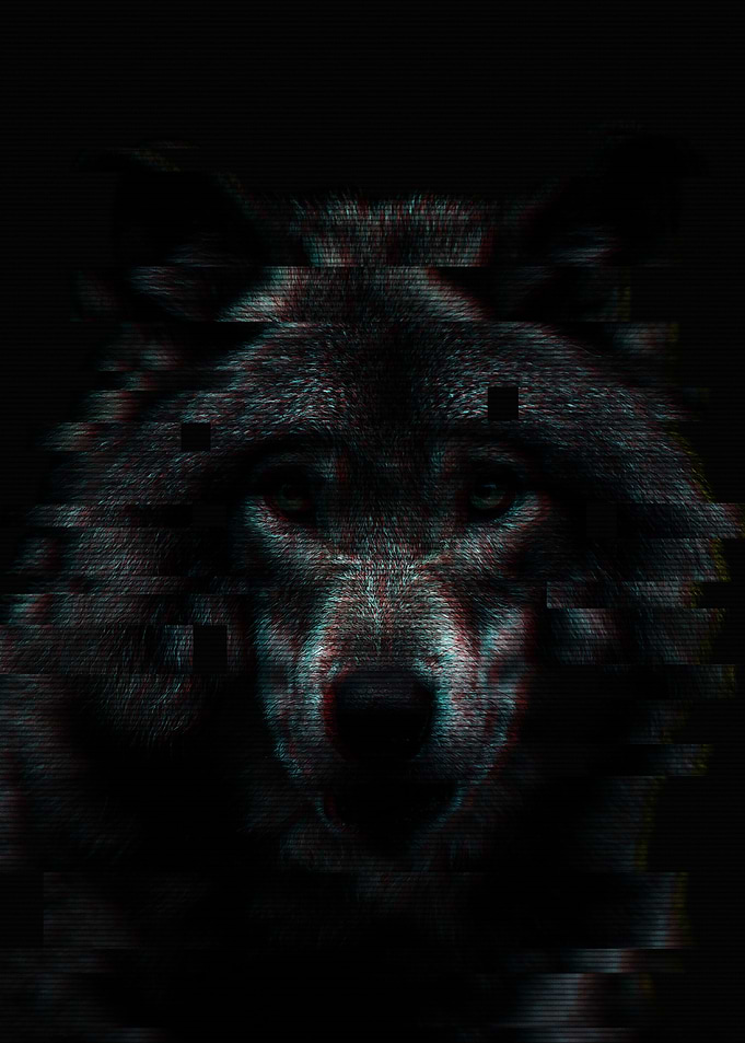 Glitched Wolf