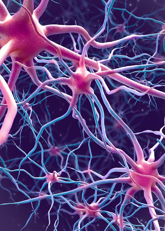 Neural Network