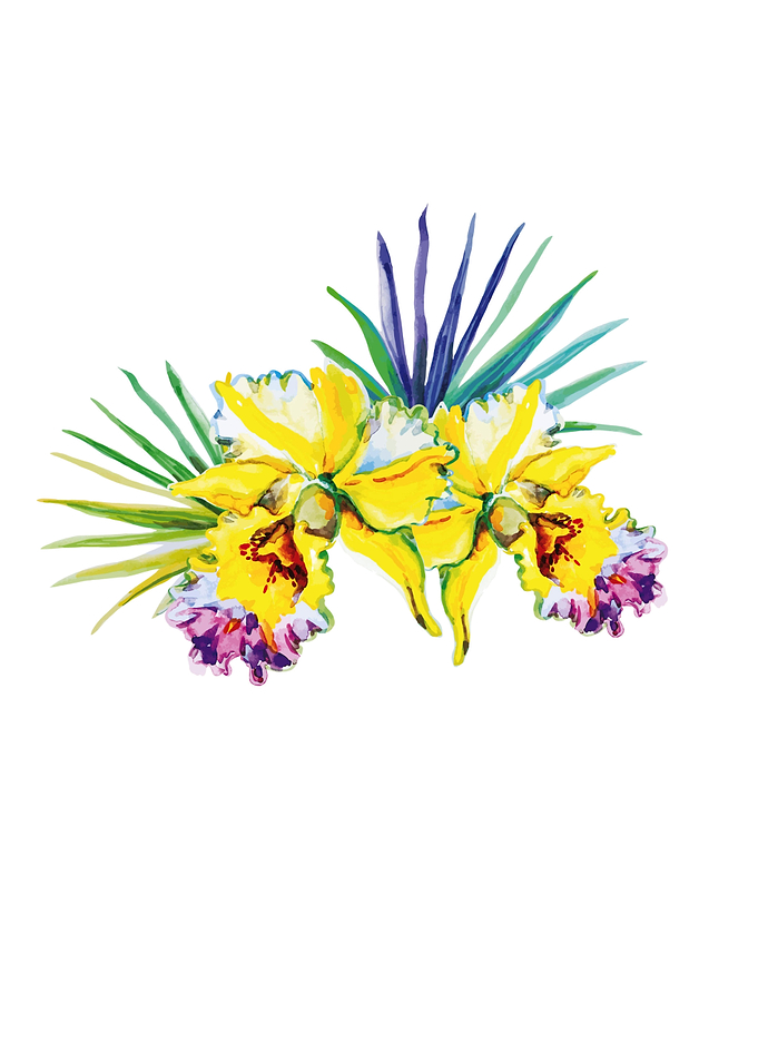 Tropical Plants