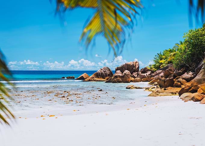 Tropical White Sand Beach