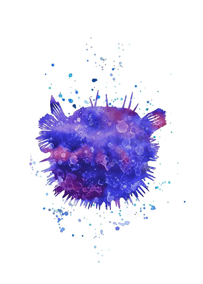 Blowfish