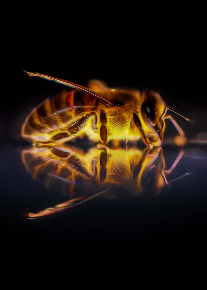 Worker Bee