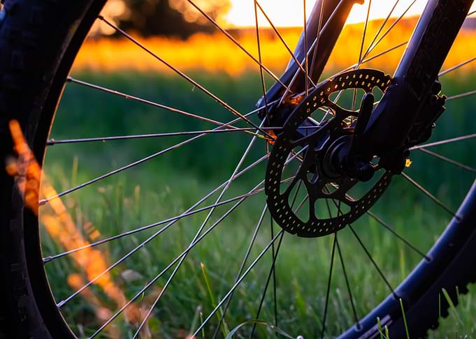 bicycle wheel