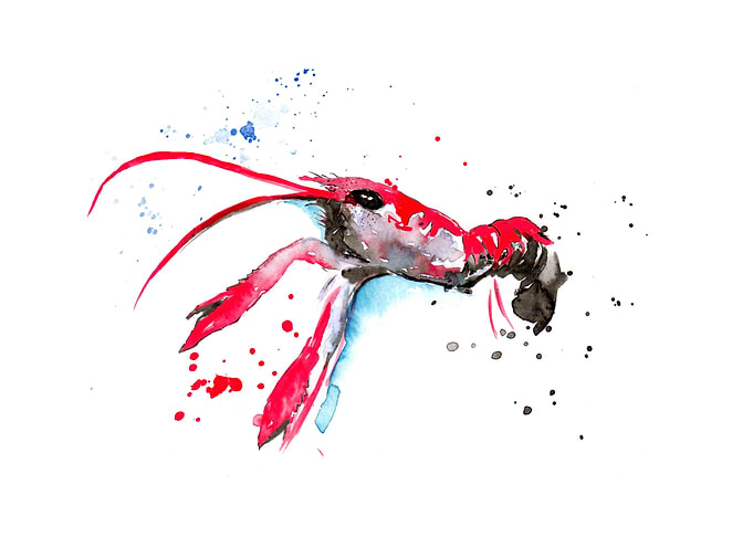 Crawfish