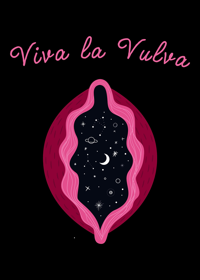 Vulva Vagina Feminism