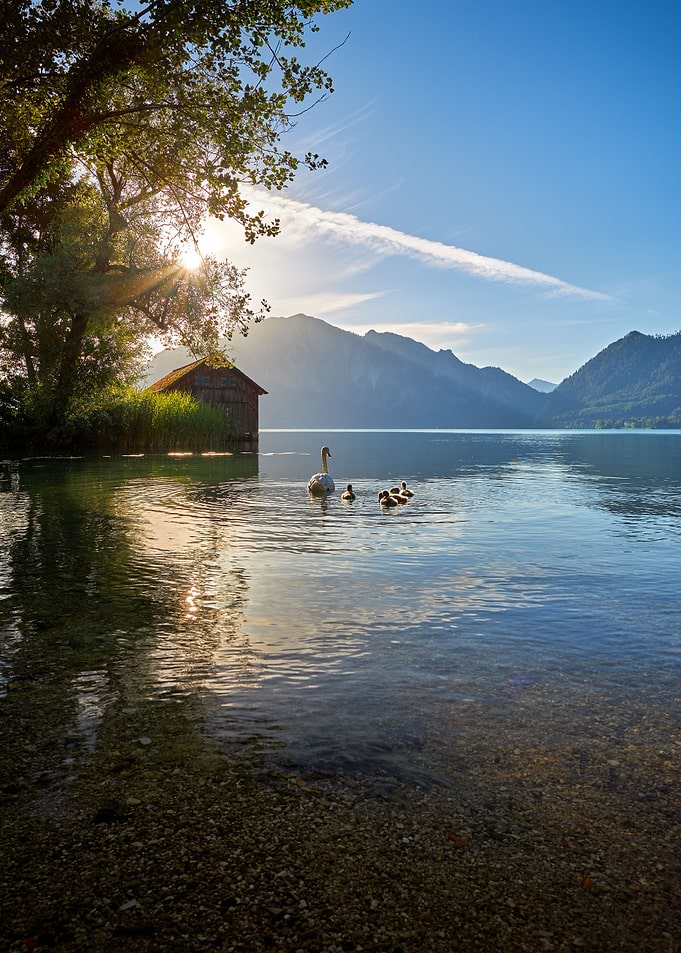 Idyll by the lake
