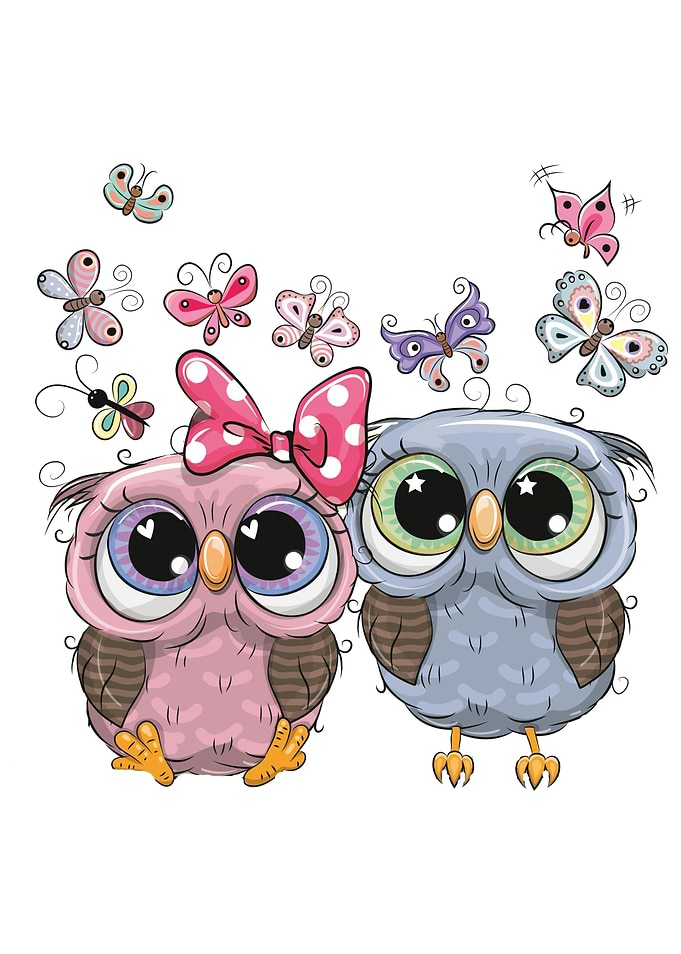 Owls and Butterflies