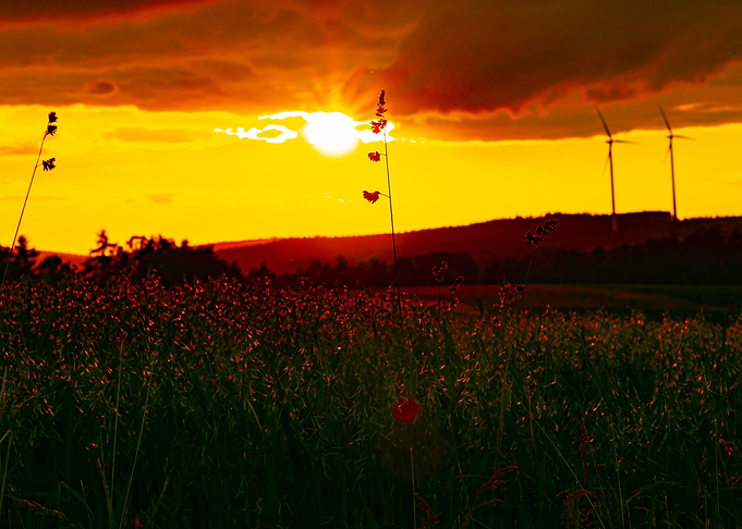 Orange Evening Sunset