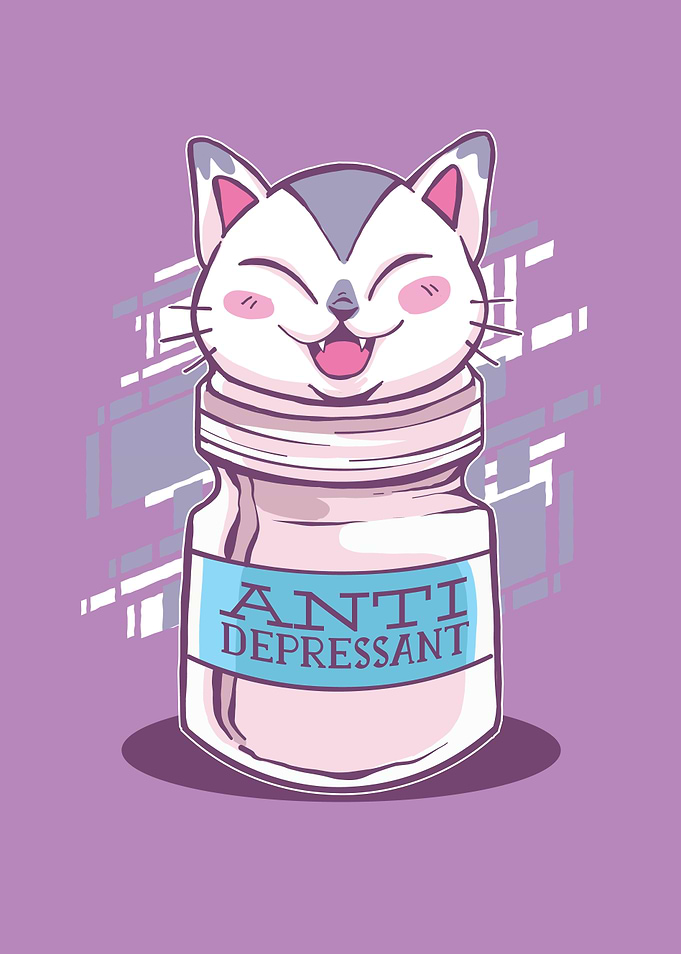 Cat Antidepressant