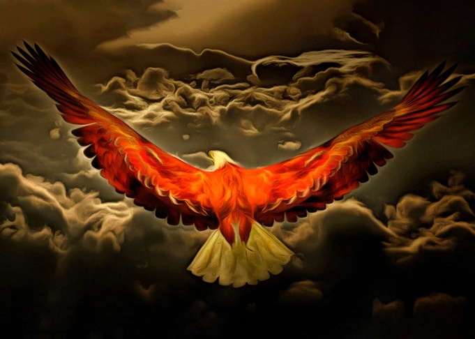 Freedom bird