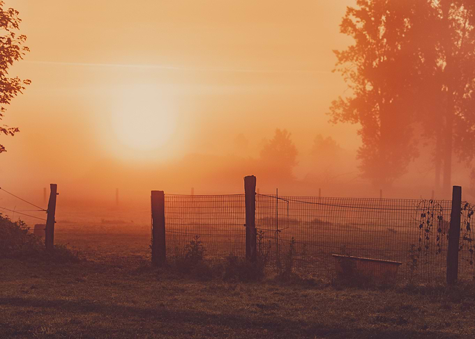 Sunrise