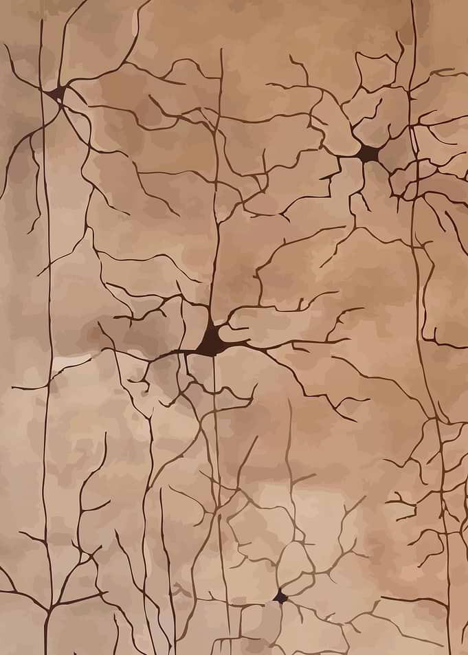 Coffee Cortex Upper Left