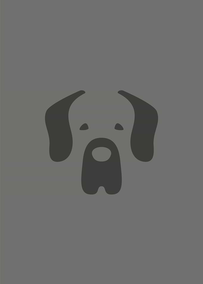 Great Dane