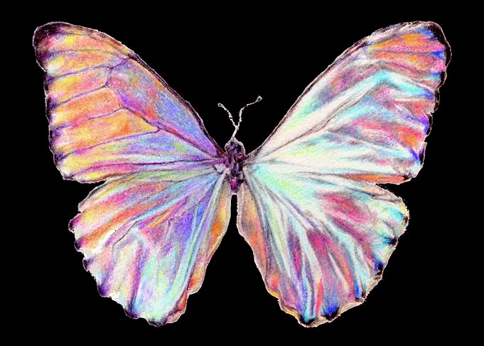 Pink Shiny Butterfly