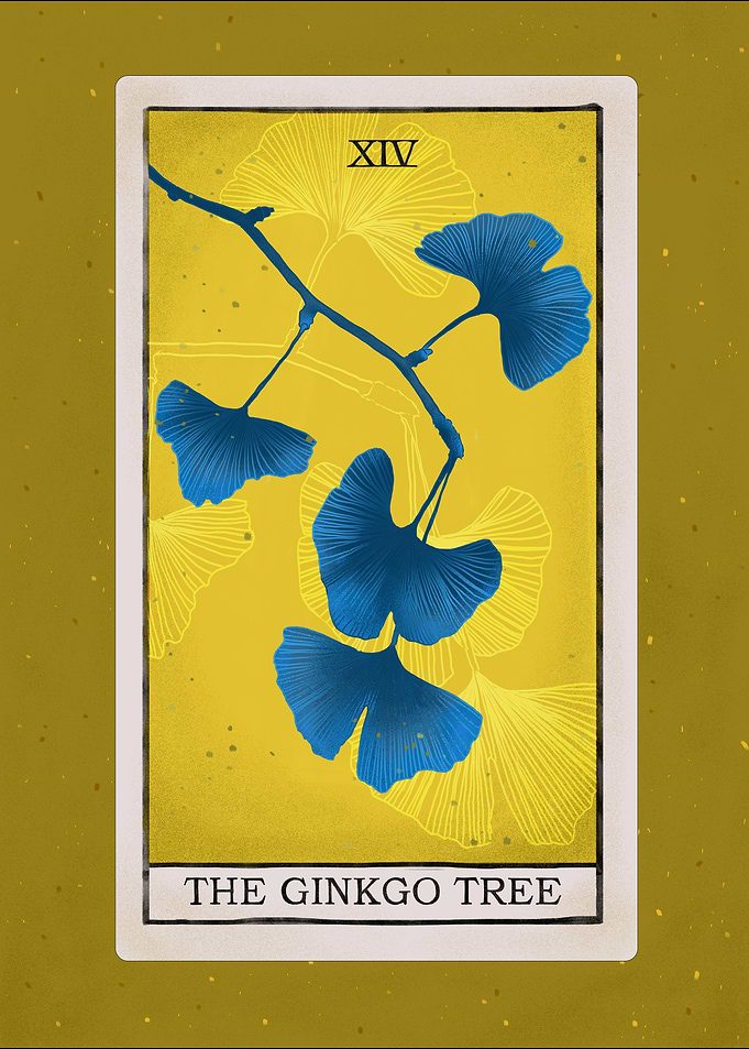 Ginkgo plant tarot card