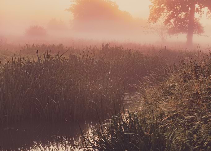 Sunrise Creek