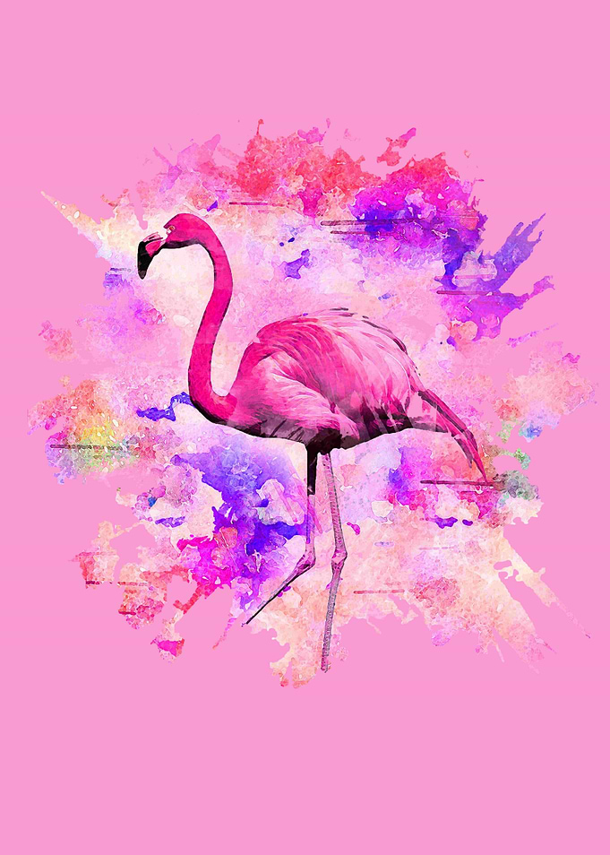 flamingo Watercolor