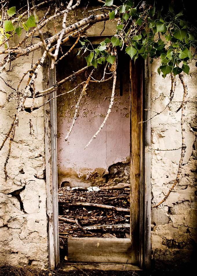 Doorway to the Past