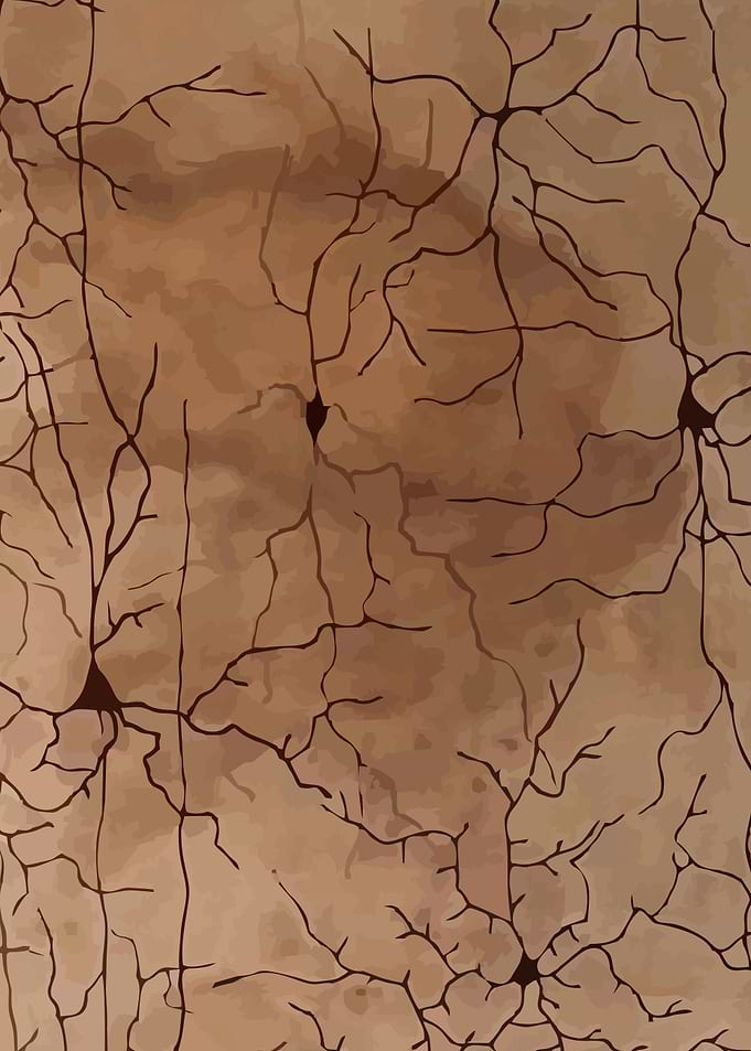 Coffee Cortex Upper Right