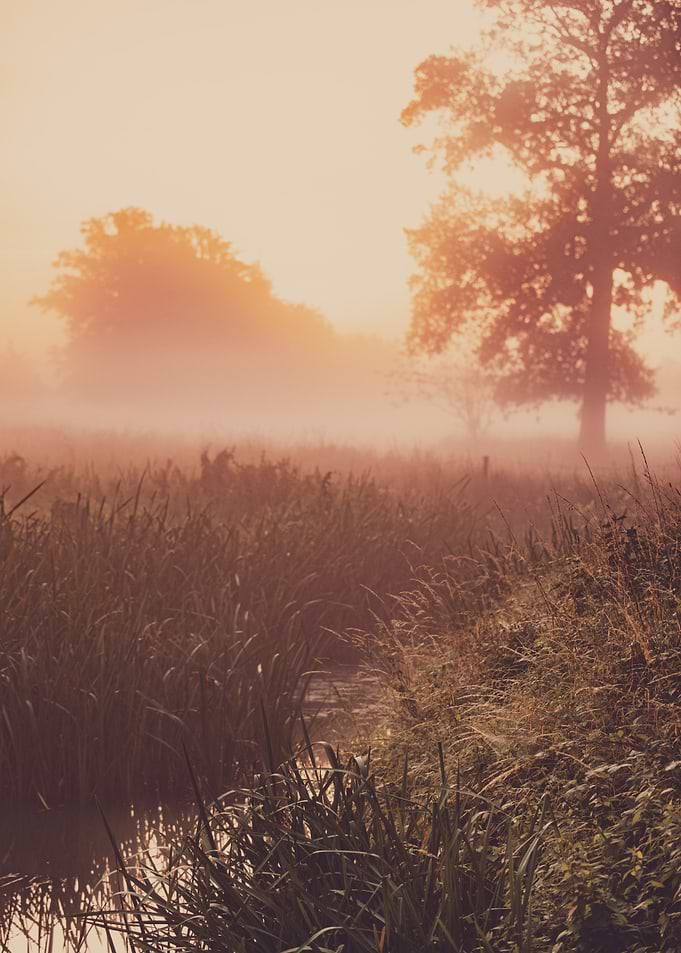 Sunrise creek