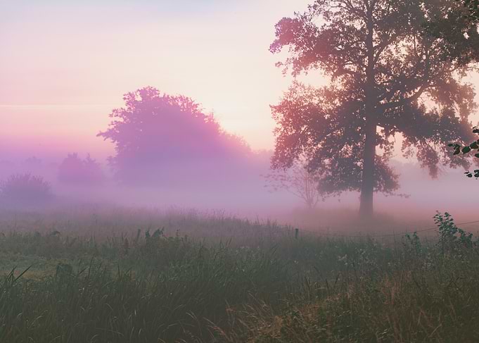 Sunrise Field