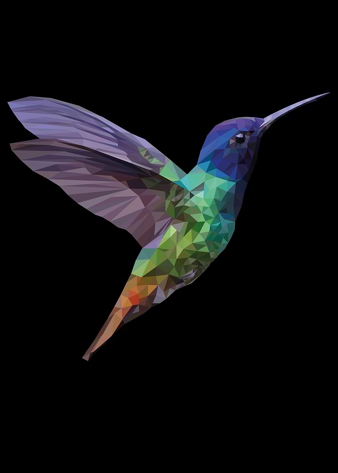 hummingbird low poly