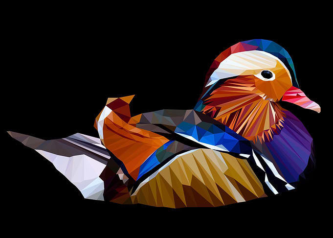 mandarin duck isometric