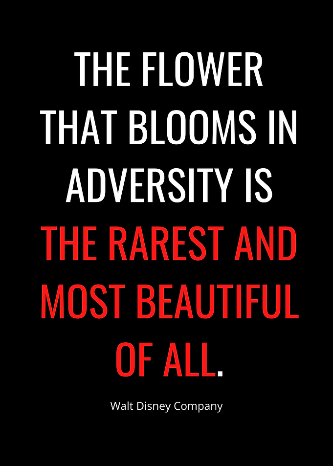Quote BWR Style 60