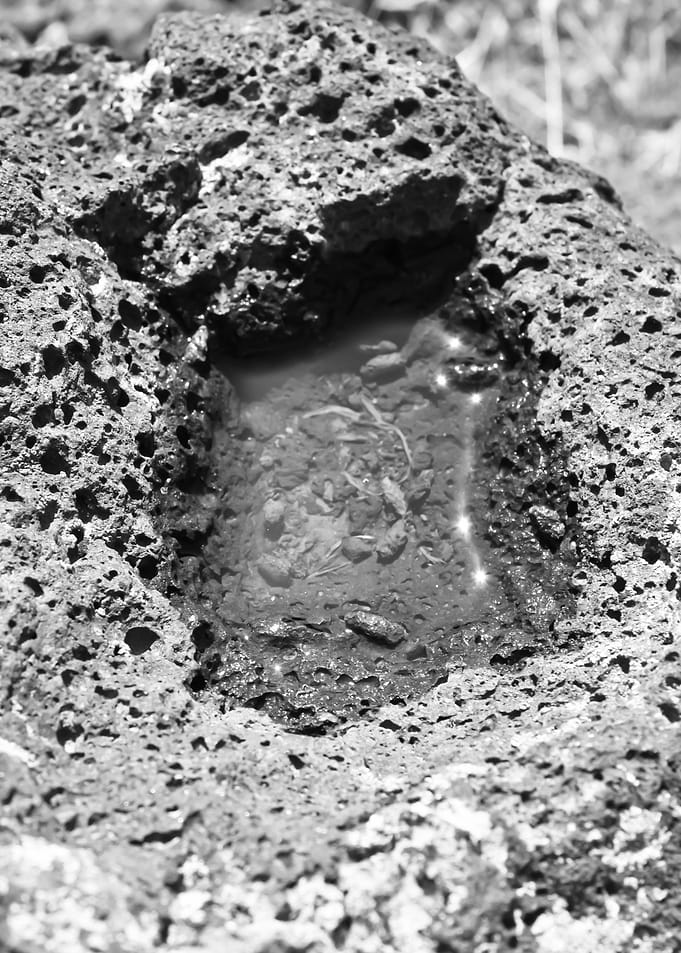 Rock Puddle
