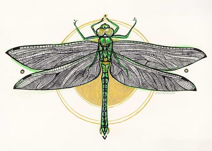 Dragonfly