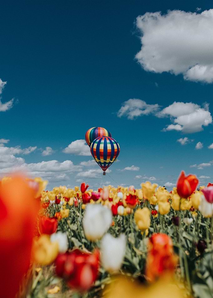 Hot Air Balloon