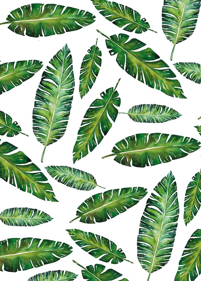 Tropical composition VI