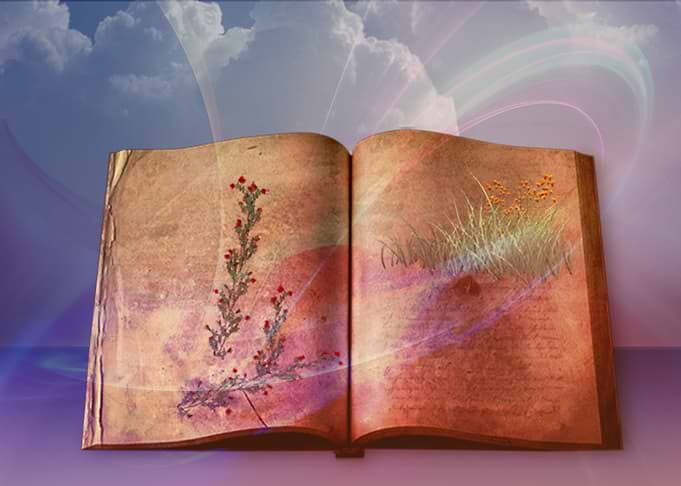Book of memories