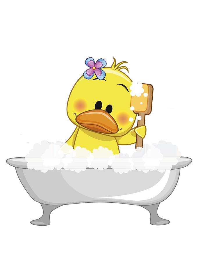 Duck in a Tub