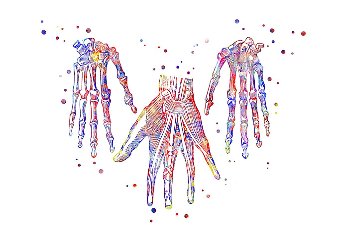 Human hand