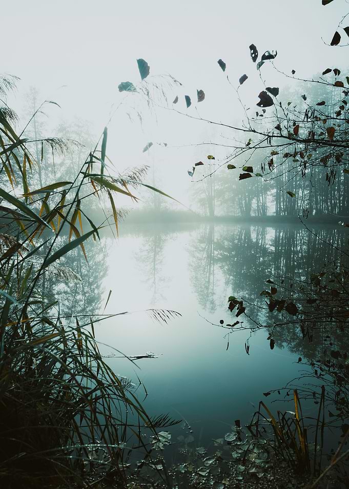 Lake and Nature
