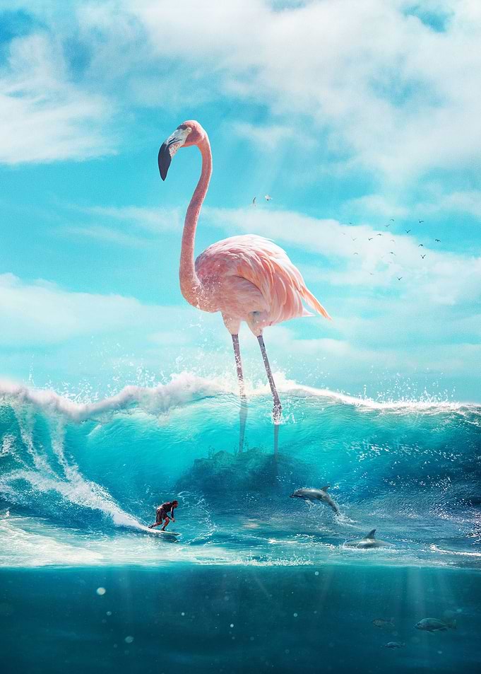 Surfer