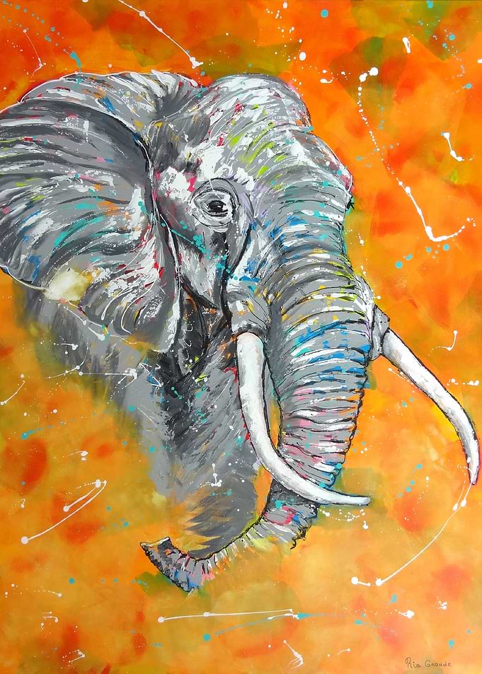 Elephant